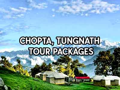 chopta tour package